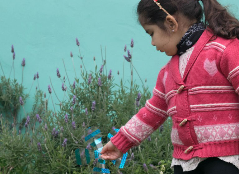Proyecto Educativo